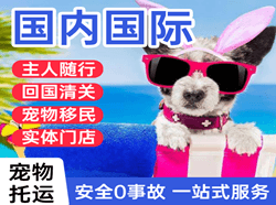 永兴航空邮寄国际宠物托运 【国